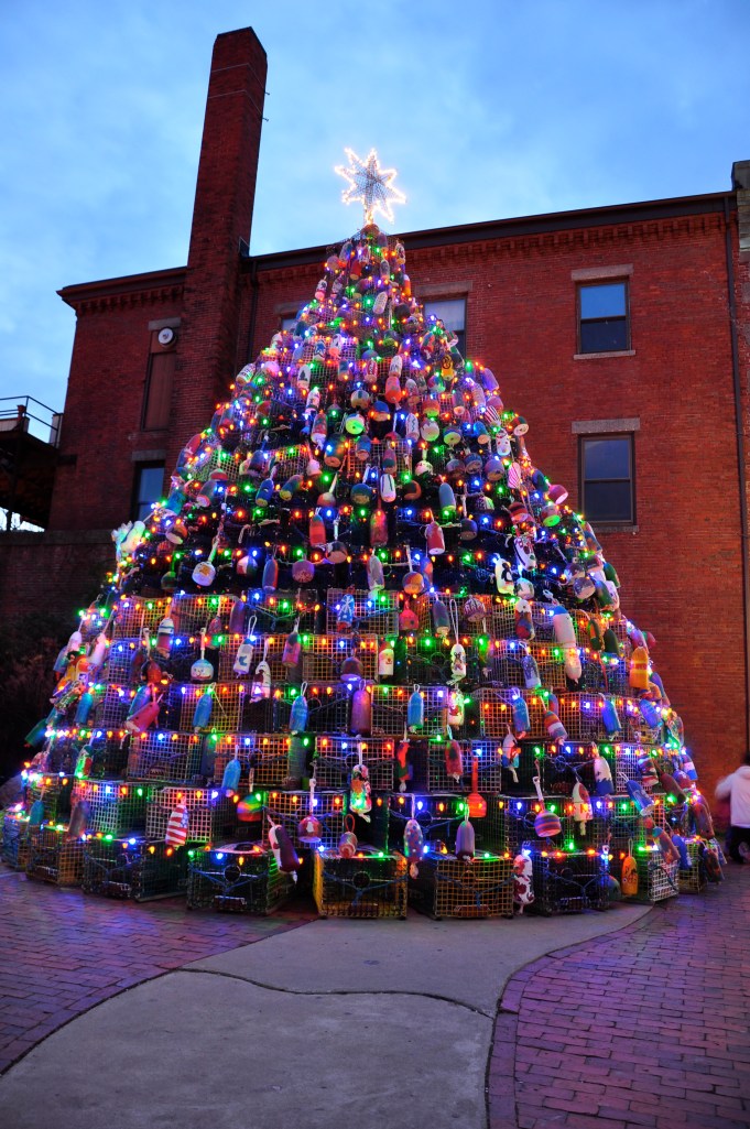 Gloucester Lobster Trap Tree-1