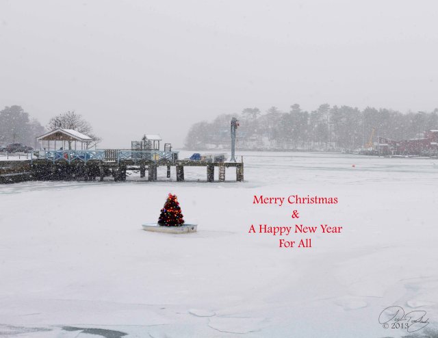 Christmas Tree on the Harbor