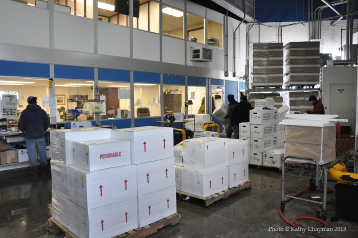 IntershellBusines8910