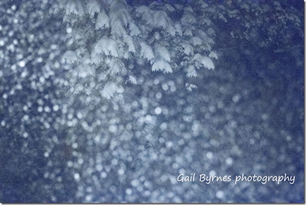 _MG_4762_1 small and sign