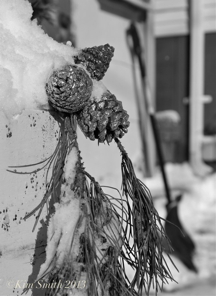 Pine cones snow ©Kim Smith 2013 copy