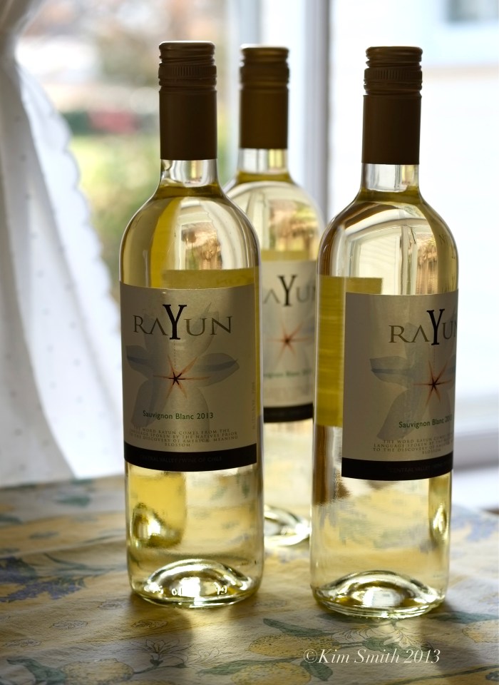 Rayon Sauvignon Blanc ©Kim Smith 2013 copy