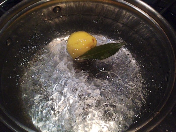 shrimp cocktail and cocktail sauce (7)