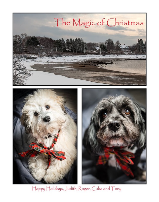 Sm magic-of-christmas-2-poster