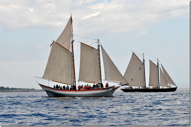 1238016_602887093088489_1972841078_n