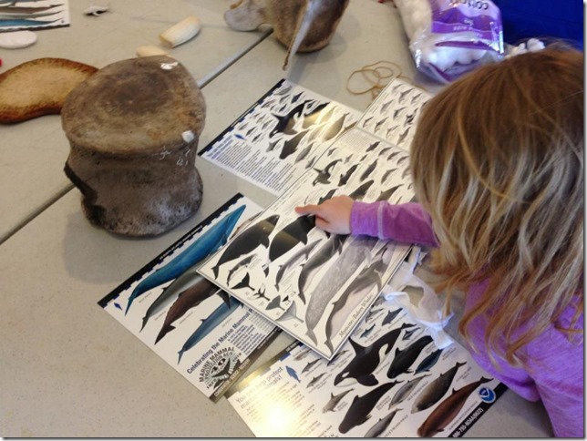 399607_542724455771420_1699005418_n