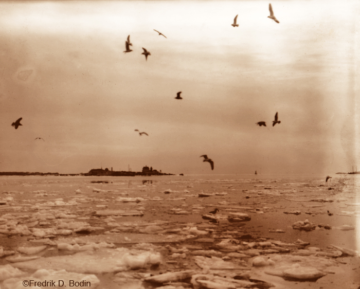 This photo of Gloucester Harbor with ice flows was taken in 1918. The harbor has been frozen solid in the past.