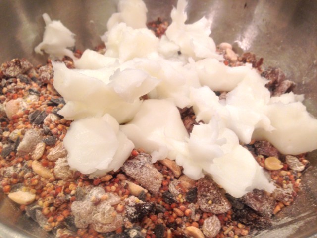 bird feeder and food reipe (10)