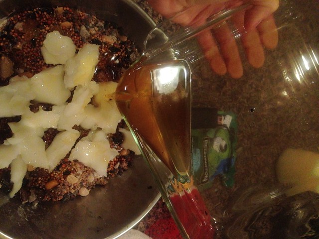 bird feeder and food reipe (11)