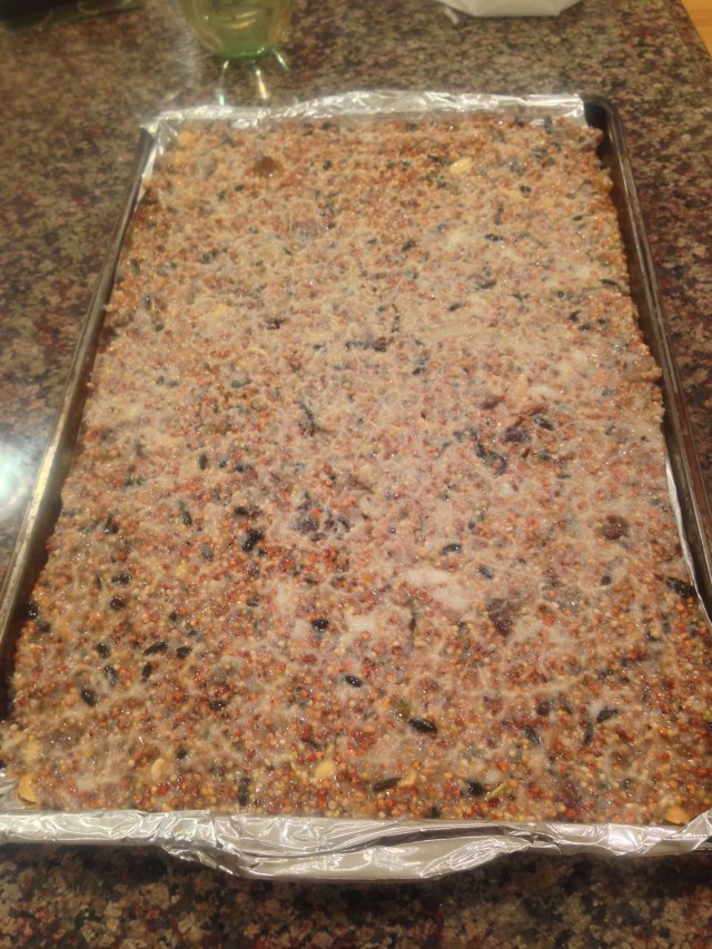 bird feeder and food reipe (12)