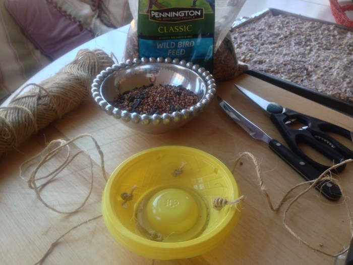 bird feeder and food reipe (22)