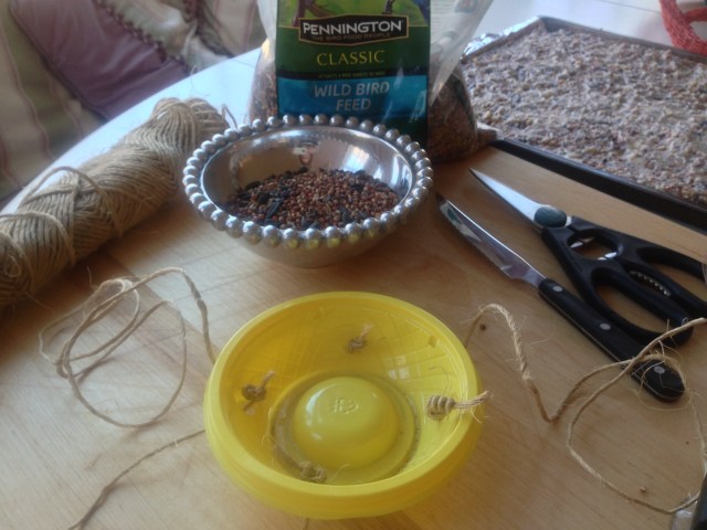bird feeder and food reipe (22)