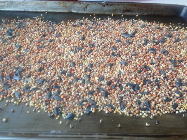 bird feeder and food reipe (26)