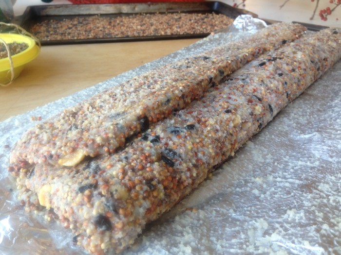 bird feeder and food reipe (31)