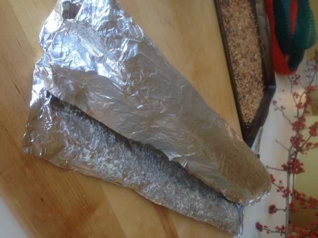 bird feeder and food reipe (33)