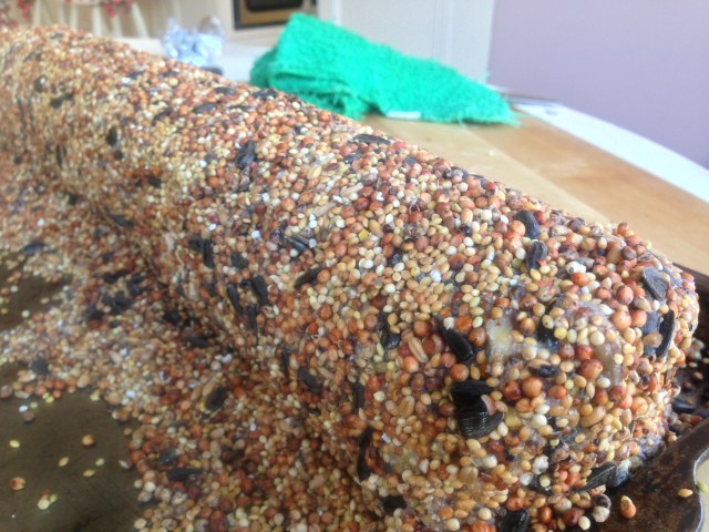 bird feeder and food reipe (42)