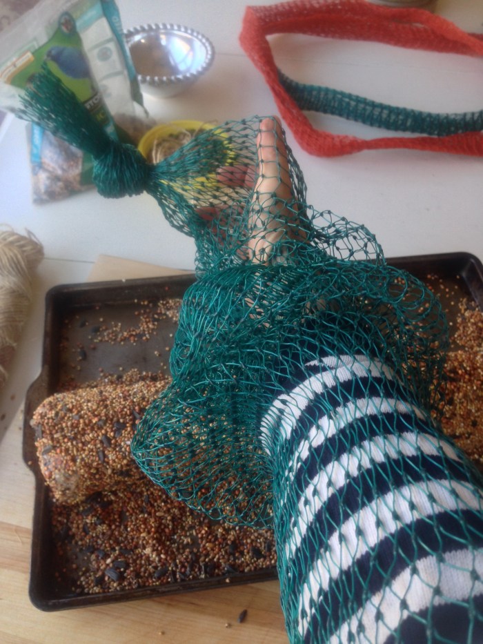 bird feeder and food reipe (46)