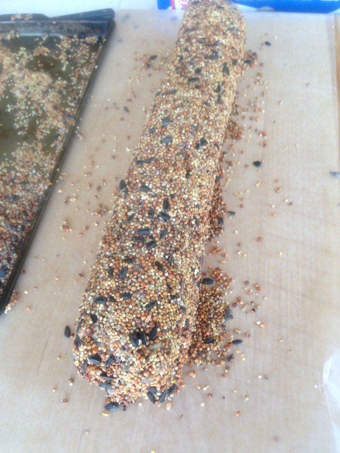 bird feeder and food reipe (49)