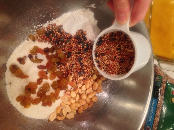 bird feeder and food reipe (5)