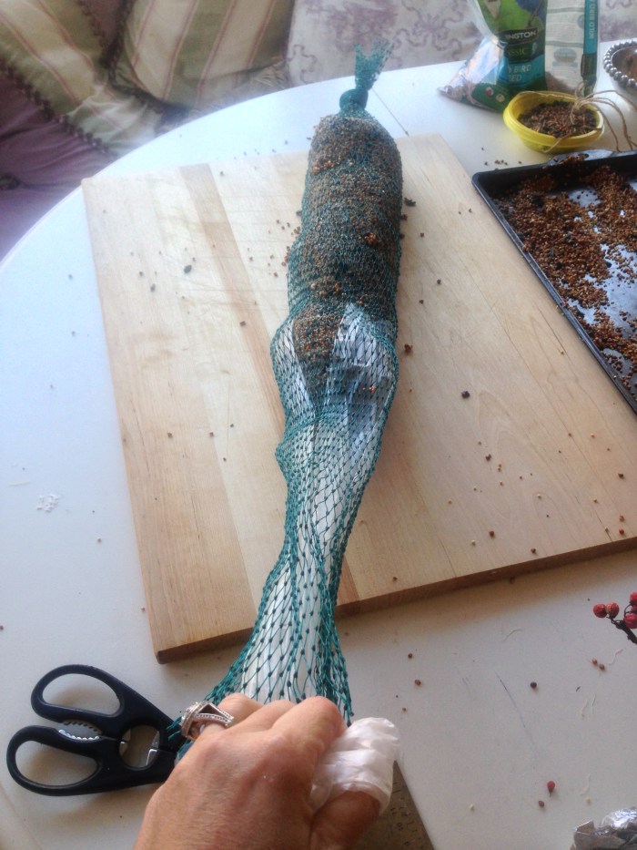 bird feeder and food reipe (52)