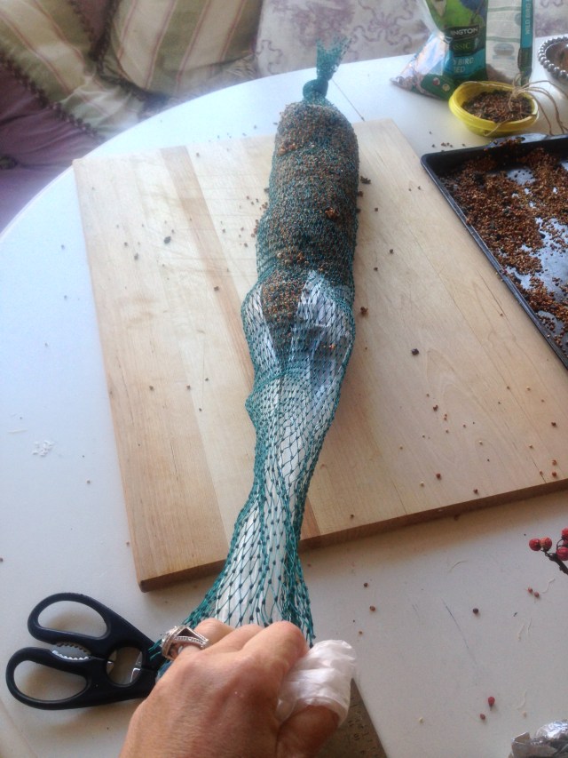 bird feeder and food reipe (52)