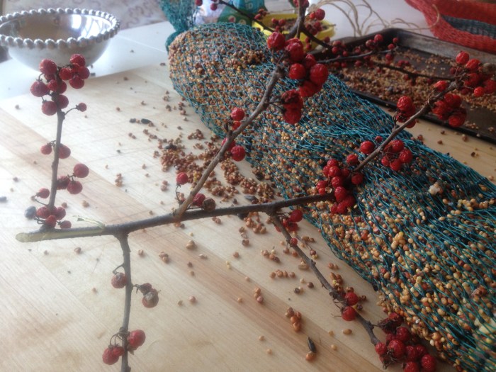 bird feeder and food reipe (55)