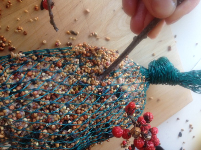 bird feeder and food reipe (57)
