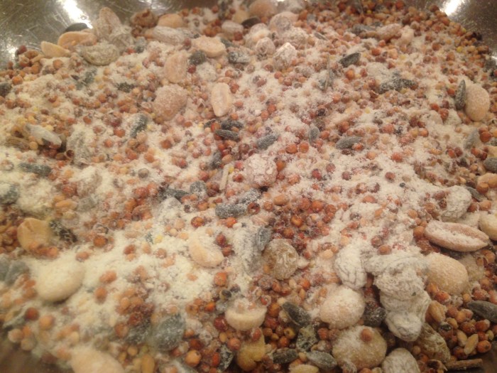 bird feeder and food reipe (6)