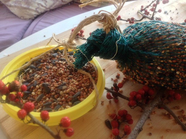 bird feeder and food reipe (62)