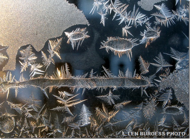 IceCrystals1-2-14_2458