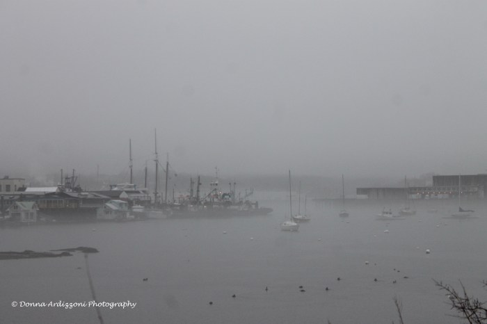 Janaury 14, 2014 fog at Rocky Neck