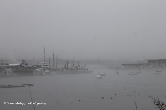 Janaury 14, 2014 fog at Rocky Neck