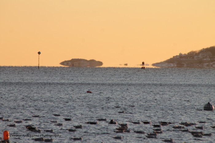 January 22, 2014 mother ship