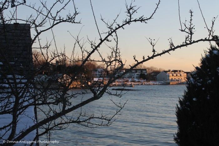 January 23, 2014 from Ericka's apt