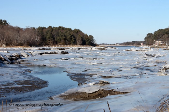 January 29, 2014 I think it may be too cold