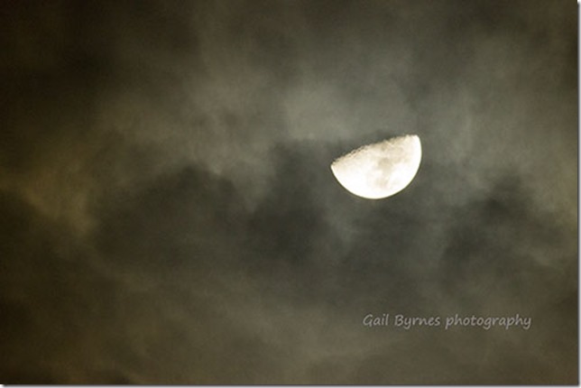 _MG_5362 small and signed