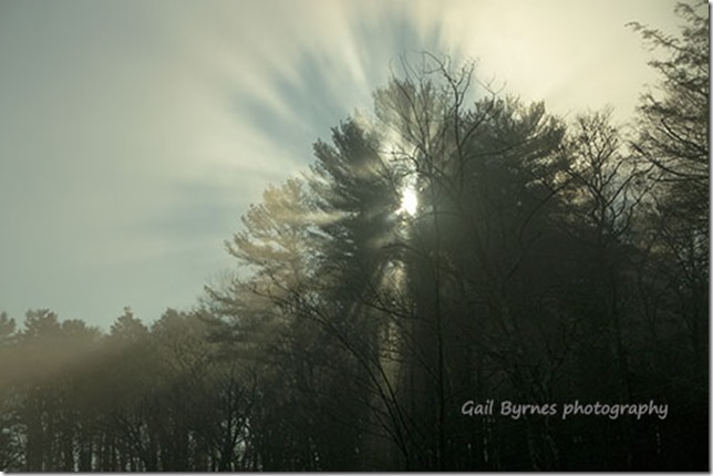 _MG_5379 small and sign