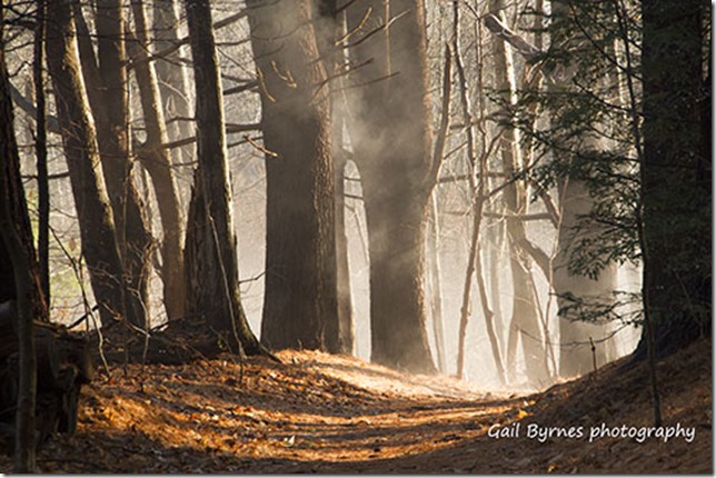 _MG_5528 small and sign