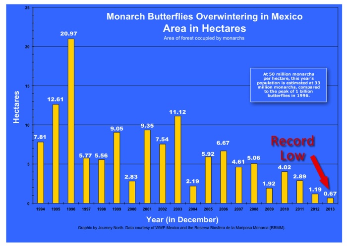 Monarch Butterfly Overwintering Graph Journey North