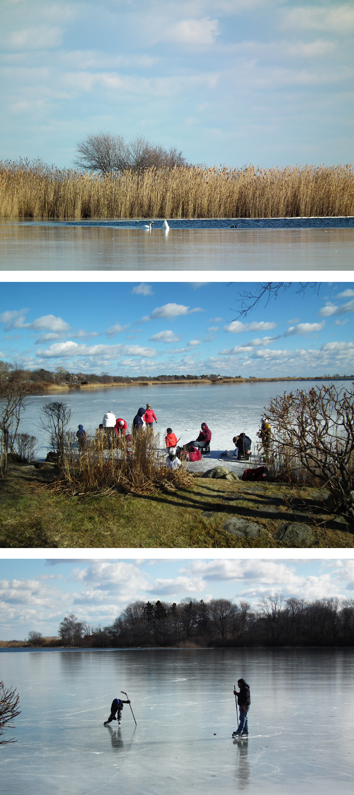 niles pond new years day