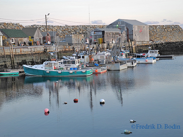 The Cove was like a lake and the ocean very calm this evening. It was also very cold. Tonight and tomorrow will be colder and nowhere near as calm.