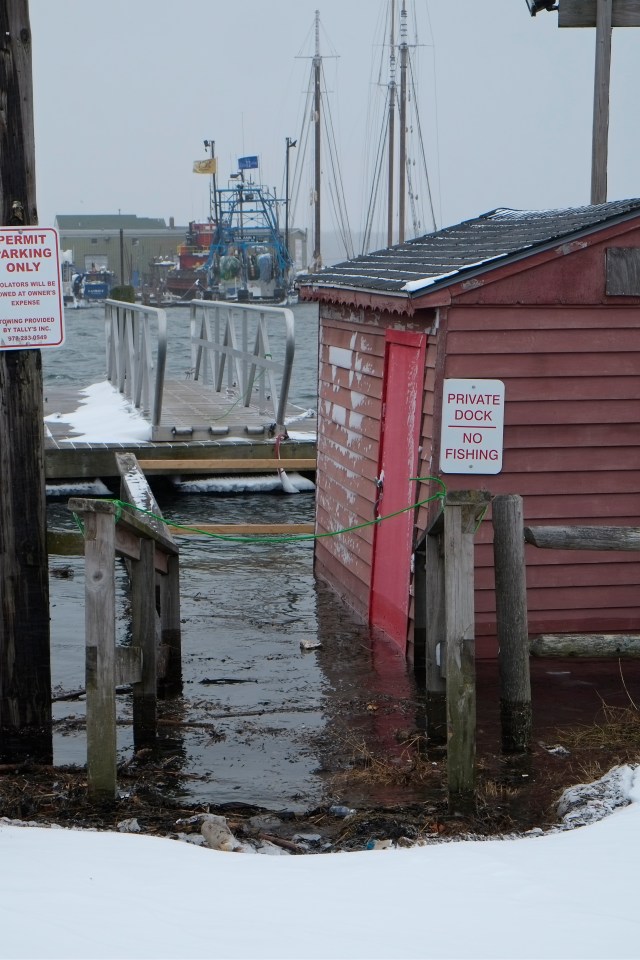 Smith's Cove ©Kim Smith 2013