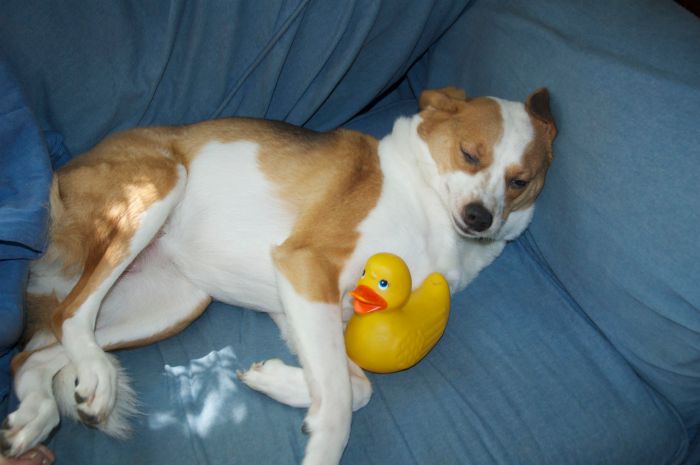 Stella: SRSLY? You woke me up to tell me that?