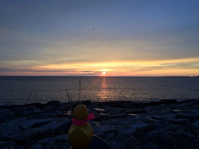 Nothing in the world is more dangerous than sincere ignorance and conscientious stupidity. Martin Luther King, Jr.