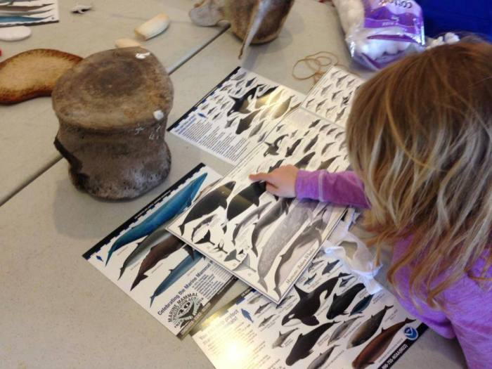 1526167_672304332813431_1392769174_n