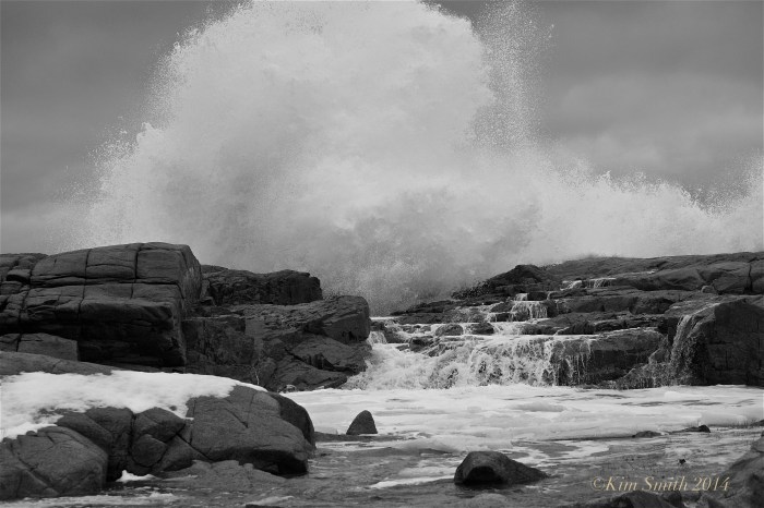 Brace Cove big wave ©Kim Smith 2014
