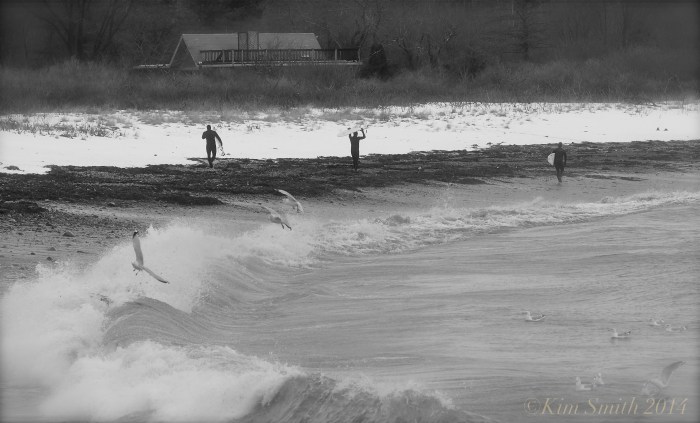Brace Cove surfers -2 ©Kim Smith 2014
