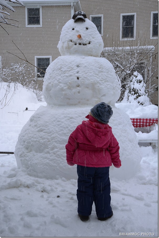 _DSC3273_snowman