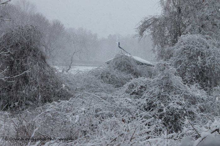 February 13, 2014 tee time