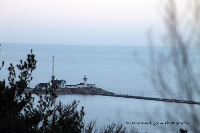 February 2, 2014 walking through Ravenswood